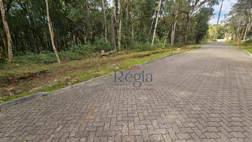 Loteamento e Condomínio, 605 m² - Foto 9