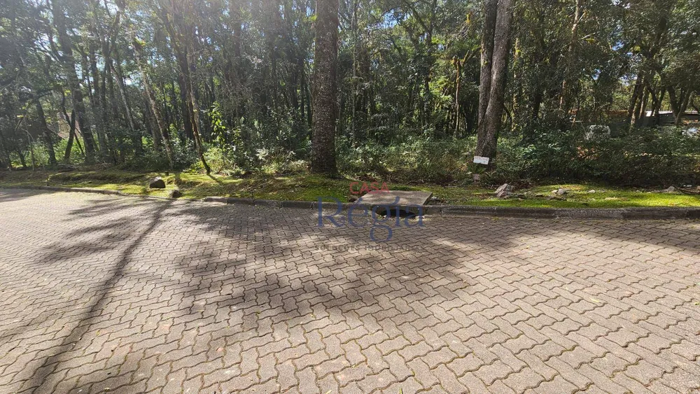 Loteamento e Condomínio, 605 m² - Foto 11