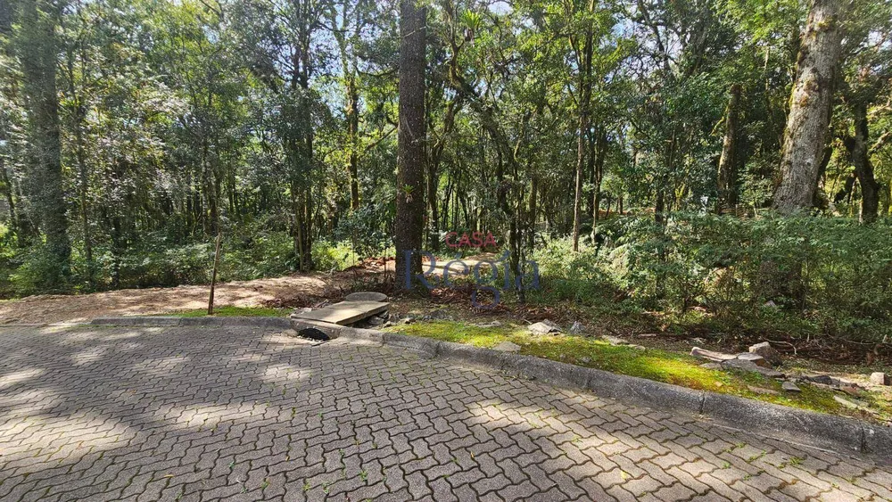 Loteamento e Condomínio, 605 m² - Foto 13