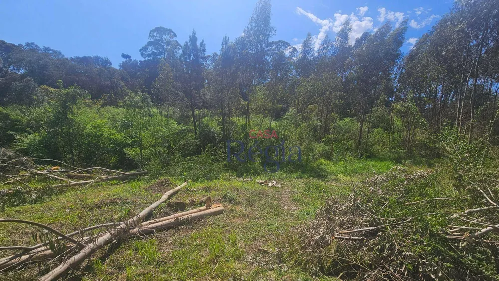 Terreno, 1348 m² - Foto 7