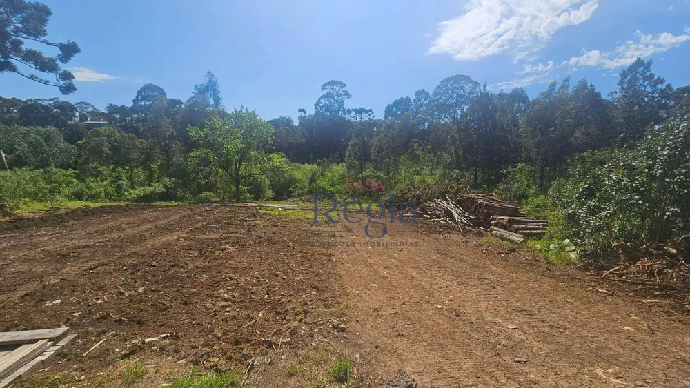 Terreno, 1348 m² - Foto 3