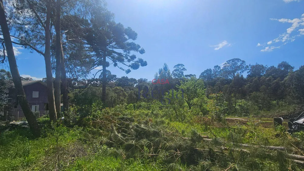 Terreno, 1348 m² - Foto 4