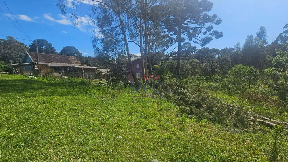 Terreno, 1348 m² - Foto 5