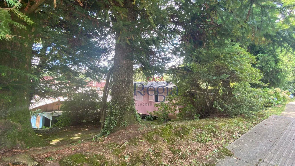 Terreno, 886 m² - Foto 7