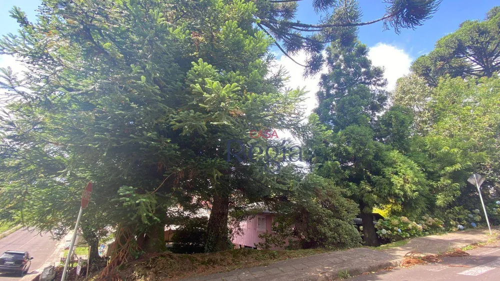 Terreno, 886 m² - Foto 13