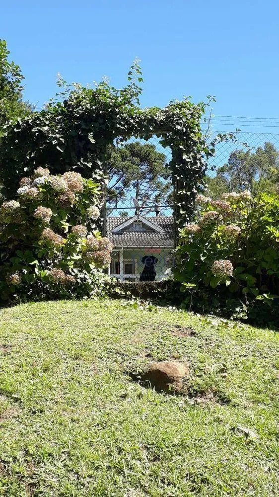 Casa, 4 quartos, 80 m² - Foto 6