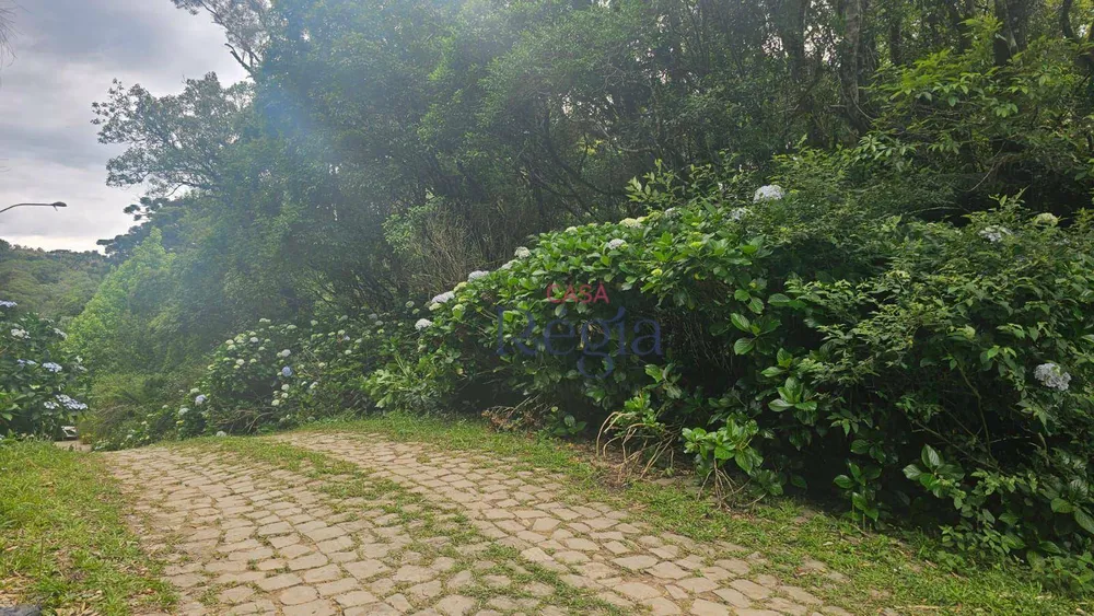 Loteamento e Condomínio, 4210 m² - Foto 1