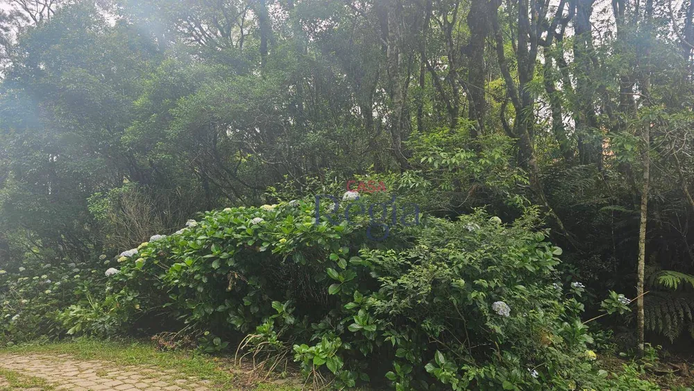 Loteamento e Condomínio, 4210 m² - Foto 6