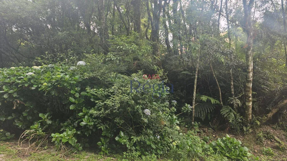 Loteamento e Condomínio, 4210 m² - Foto 2