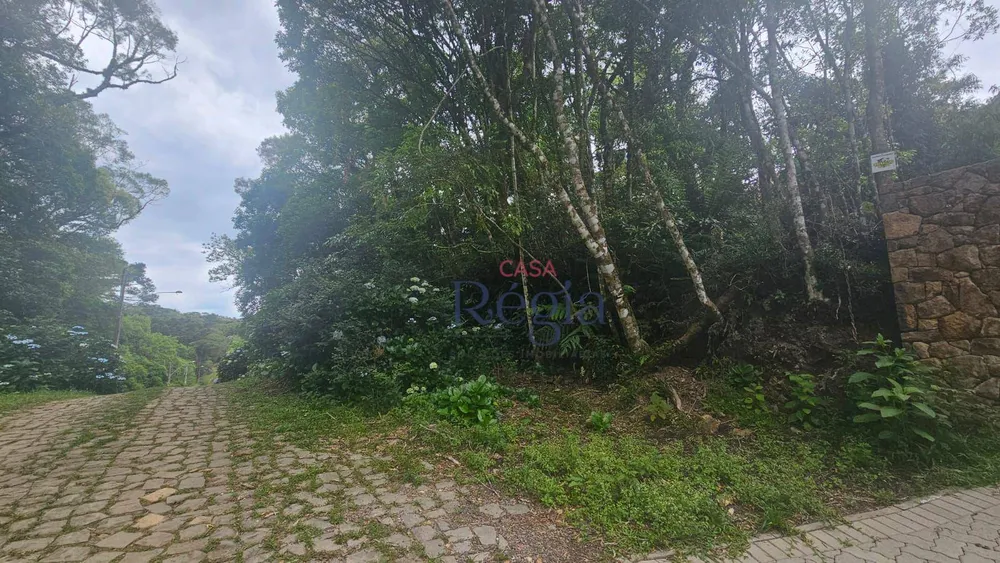 Loteamento e Condomínio, 4210 m² - Foto 7