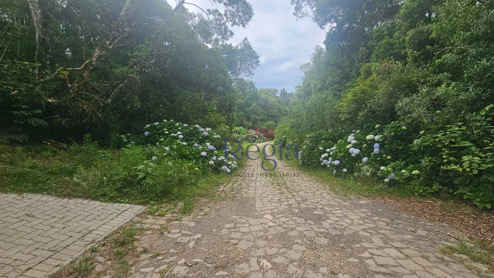 Loteamento e Condomínio, 4210 m² - Foto 8
