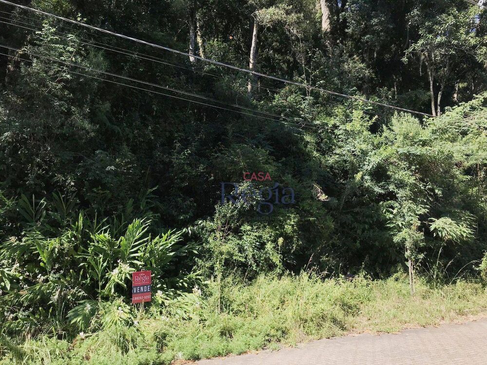 Terreno, 1121 m² - Foto 2