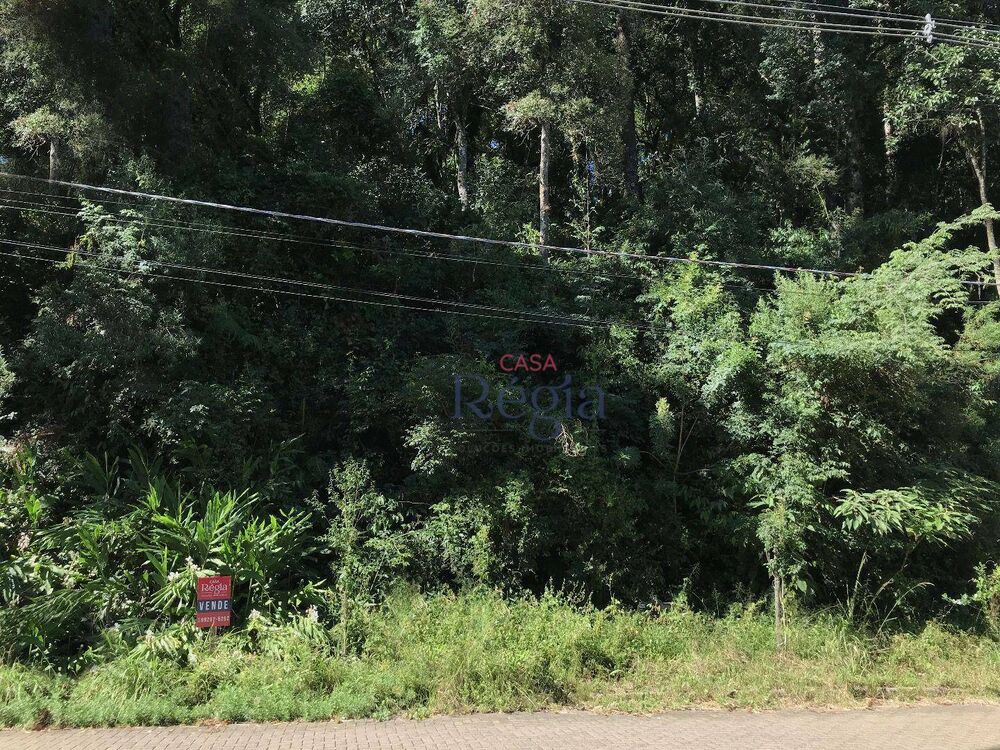 Terreno, 1121 m² - Foto 3