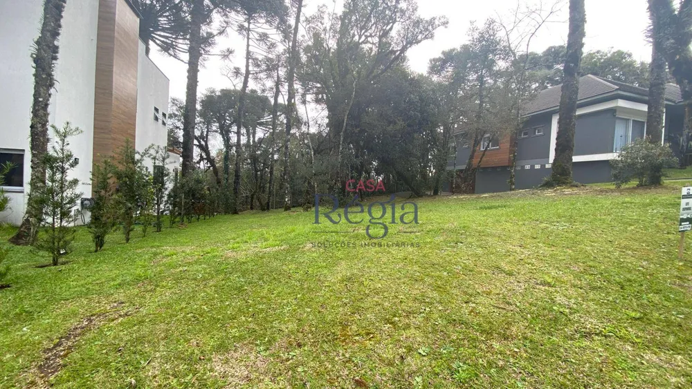Loteamento e Condomínio, 544 m² - Foto 3