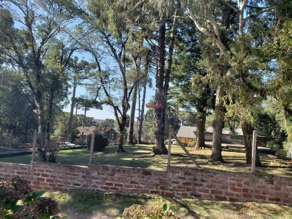 Terreno, 1050 m² - Foto 3