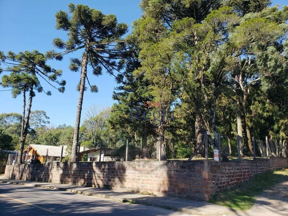 Terreno, 1050 m² - Foto 1