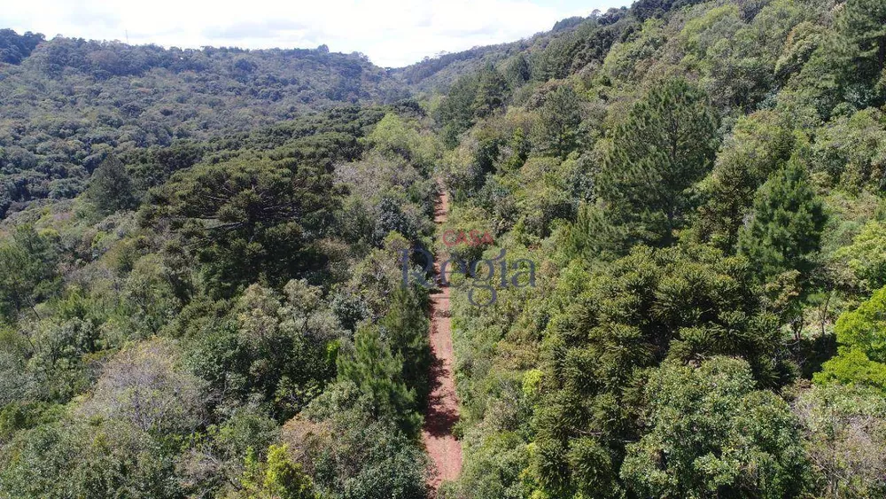 Terreno à venda, 1157M2 - Foto 2