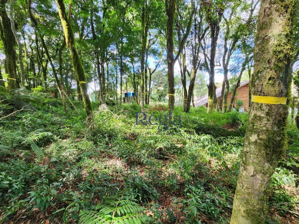 Terreno, 681 m² - Foto 7