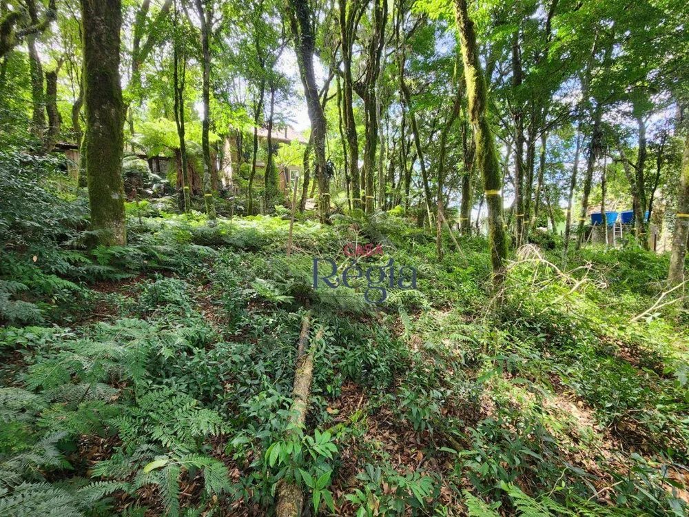 Terreno, 681 m² - Foto 5