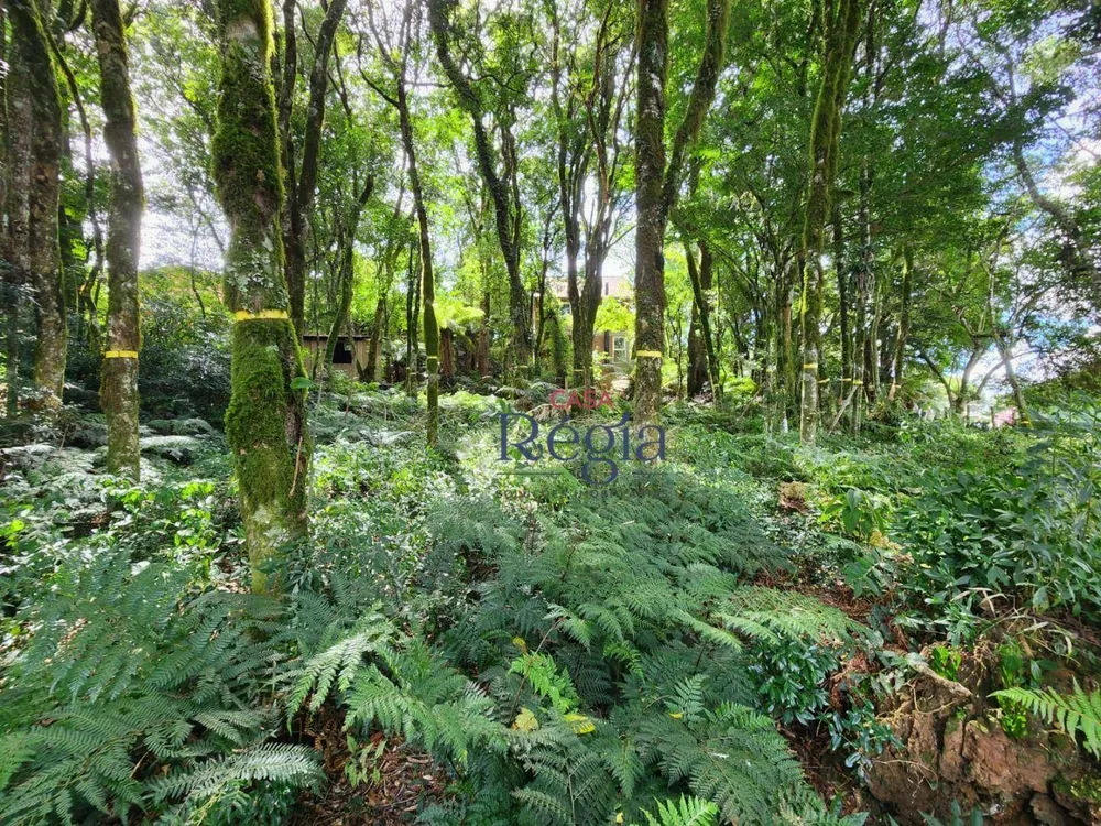 Terreno, 681 m² - Foto 6