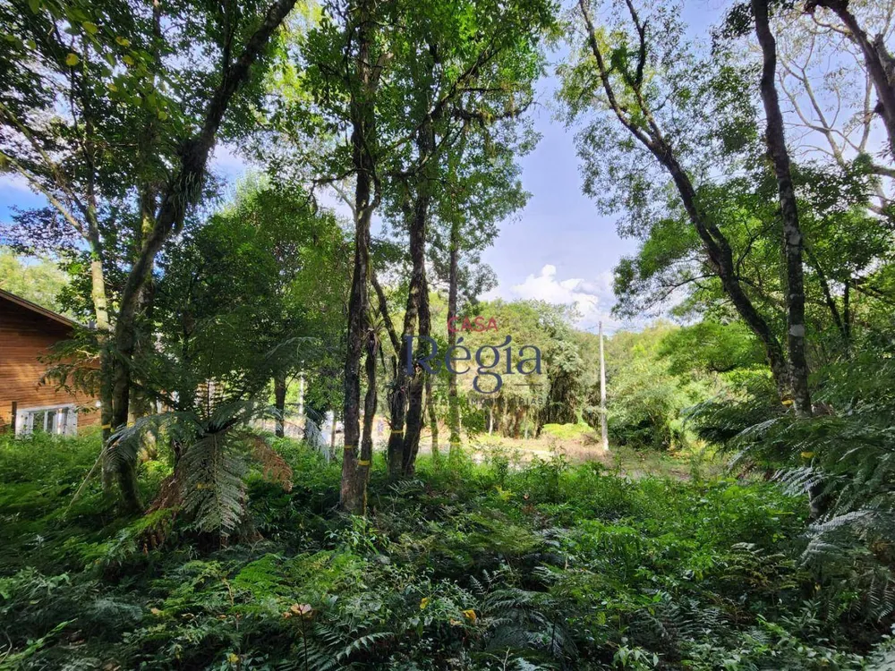 Terreno, 681 m² - Foto 2