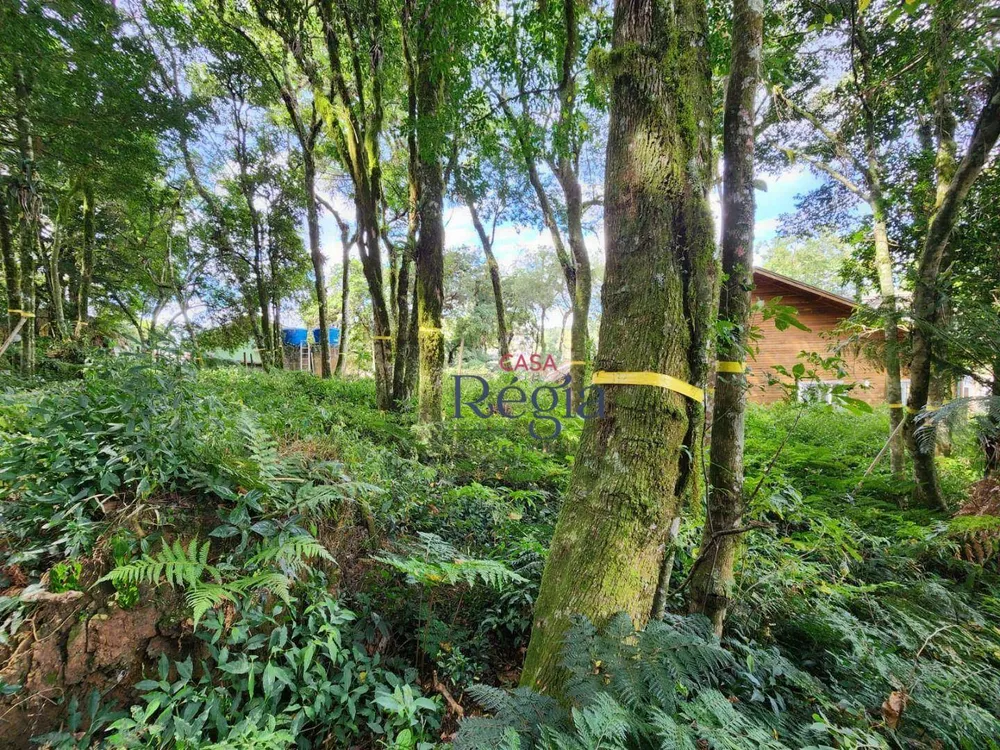 Terreno, 681 m² - Foto 4