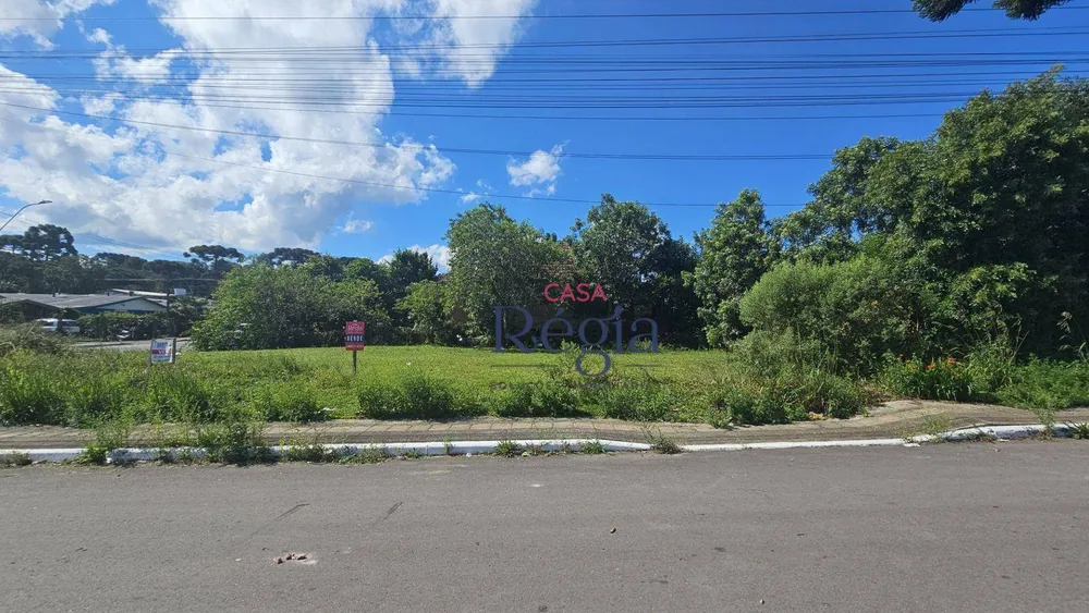 Terreno, 450 m² - Foto 9