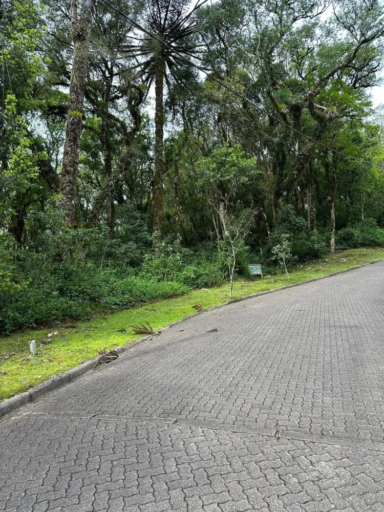 Loteamento e Condomínio, 782 m² - Foto 2