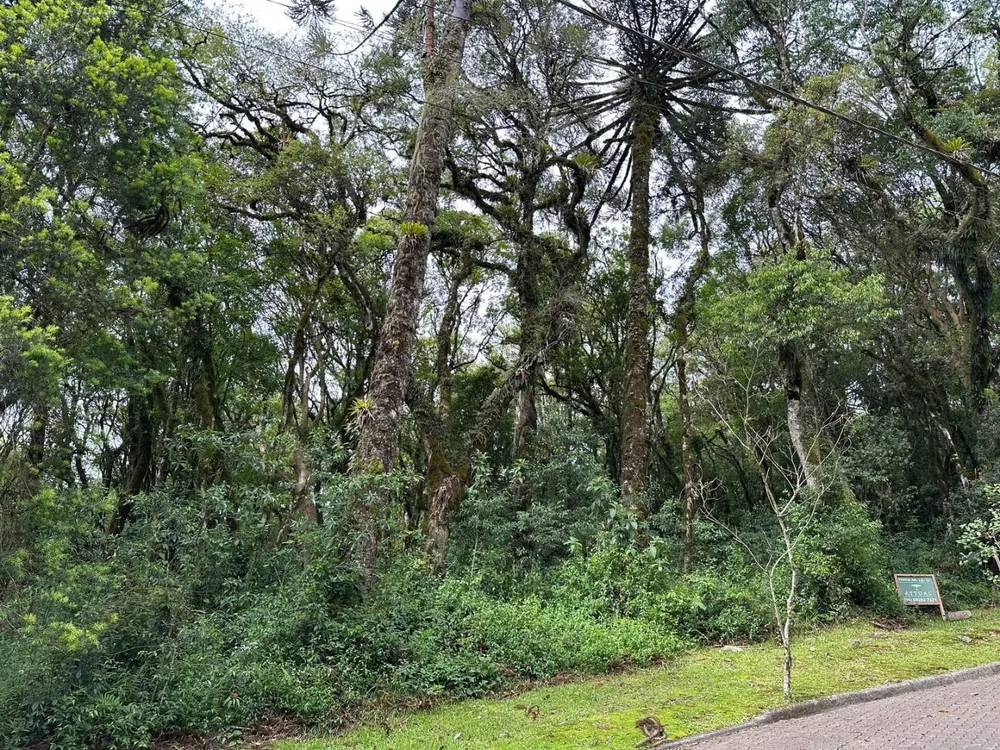 Loteamento e Condomínio, 782 m² - Foto 4