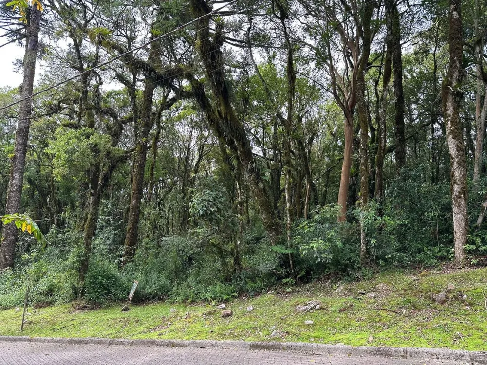 Loteamento e Condomínio, 782 m² - Foto 3