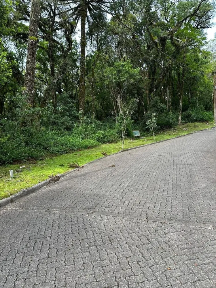 Loteamento e Condomínio, 782 m² - Foto 1