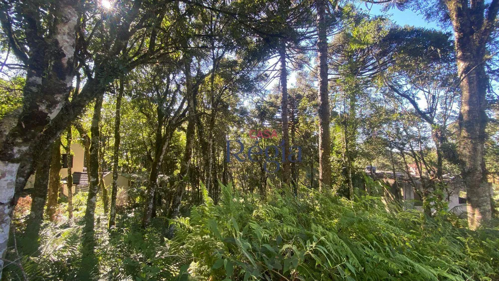 Loteamento e Condomínio, 1253 m² - Foto 11