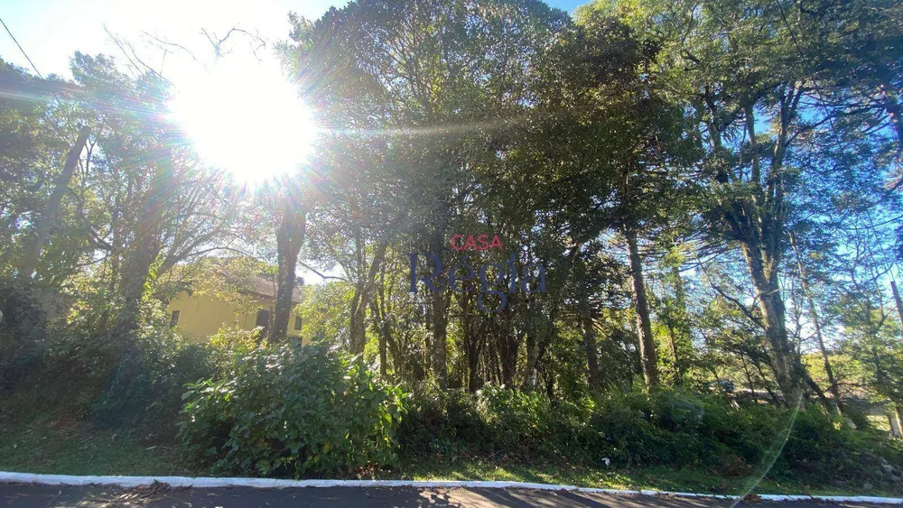 Loteamento e Condomínio, 1253 m² - Foto 1