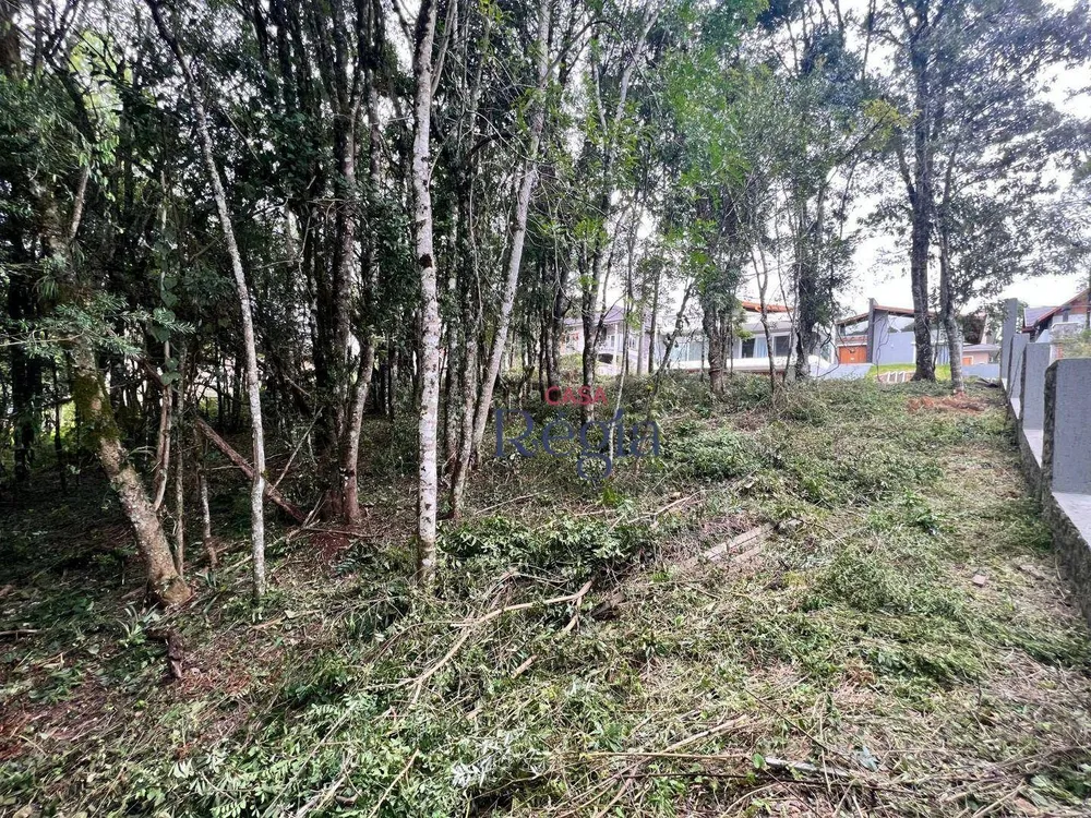 Loteamento e Condomínio, 390 m² - Foto 2