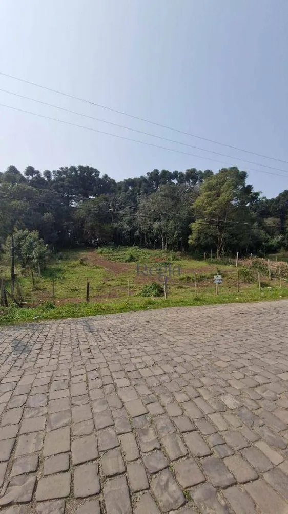 Terreno, 767 m² - Foto 1
