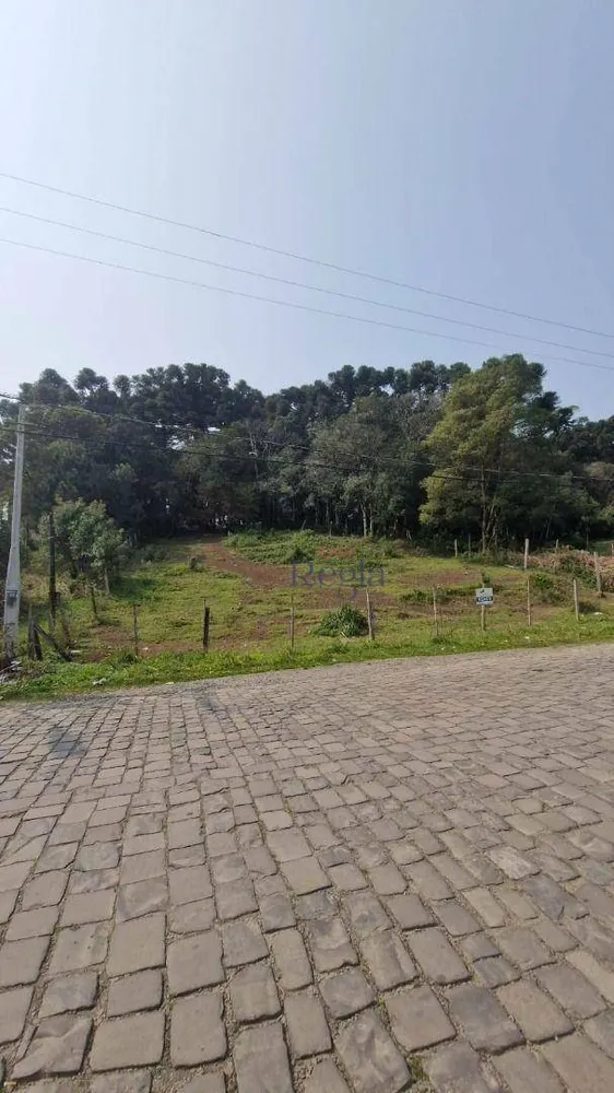 Terreno, 767 m² - Foto 2