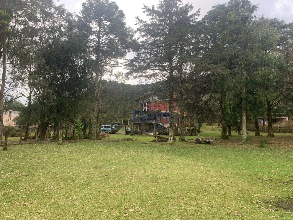 Casa, 5 quartos, 232 m² - Foto 6