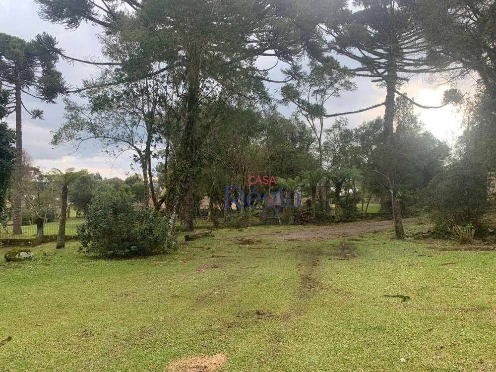 Casa, 5 quartos, 232 m² - Foto 15