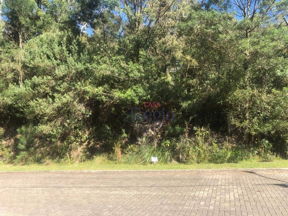 Loteamento e Condomínio, 757 m² - Foto 7