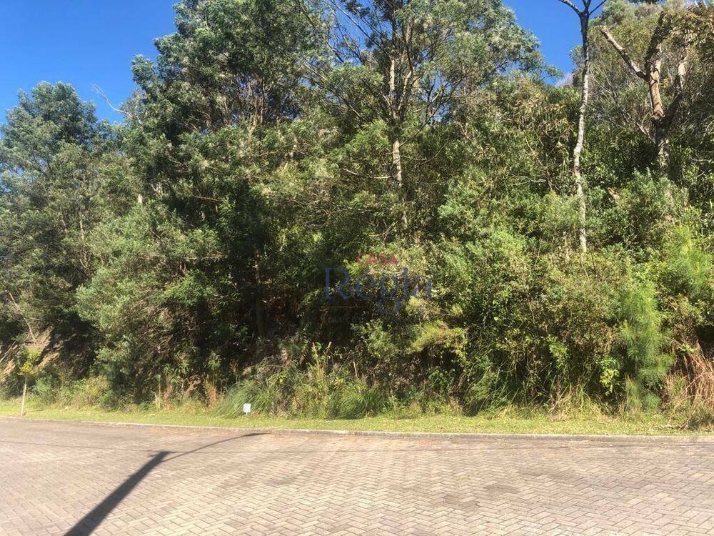 Loteamento e Condomínio, 757 m² - Foto 3