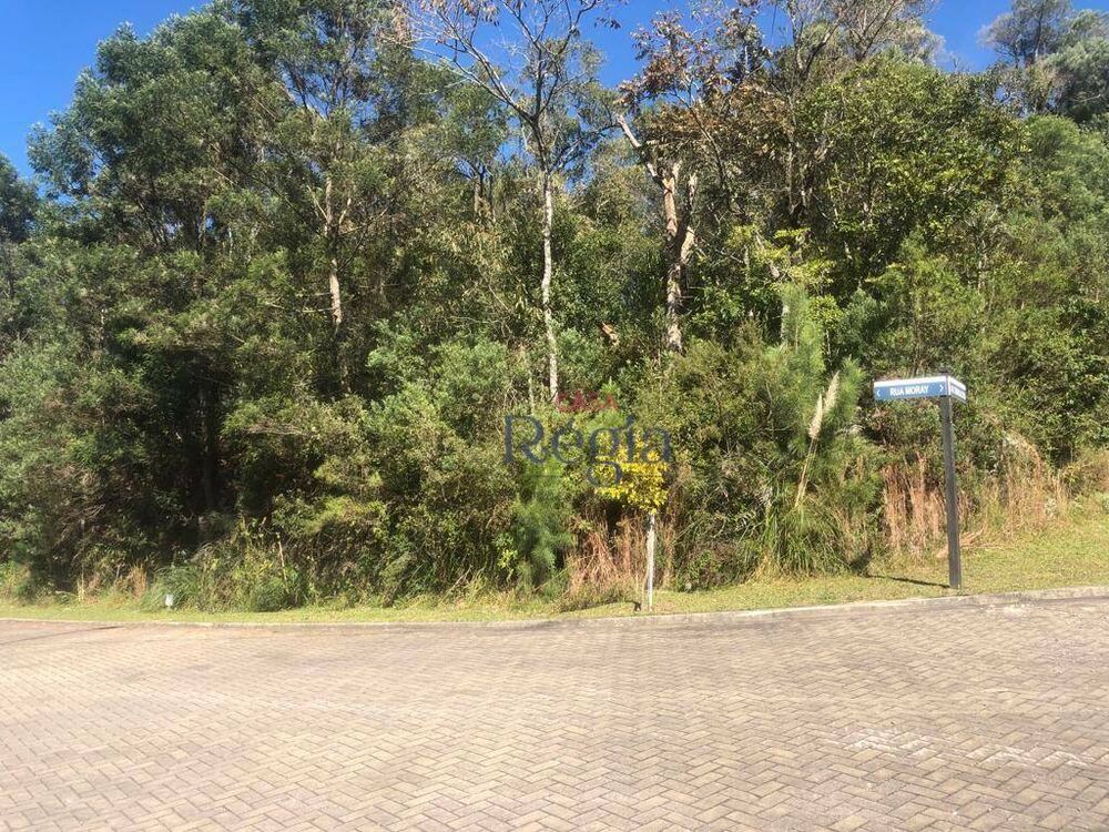 Loteamento e Condomínio, 757 m² - Foto 4