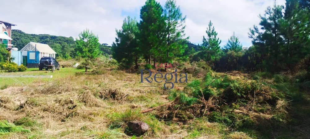 Loteamento e Condomínio, 988 m² - Foto 3