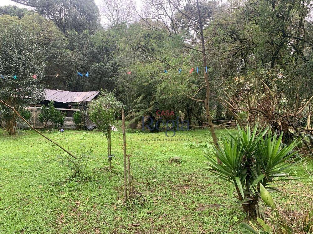 Terreno, 3695 m² - Foto 6