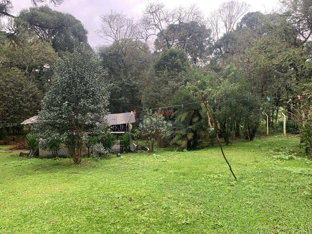 Terreno, 3695 m² - Foto 5