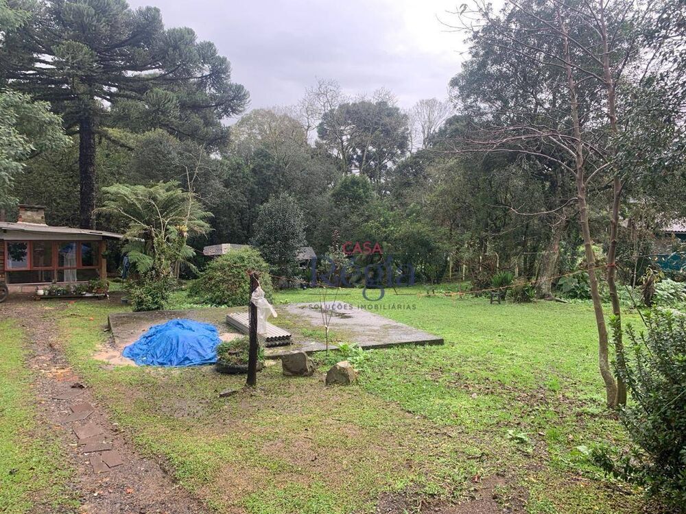 Terreno, 3695 m² - Foto 3