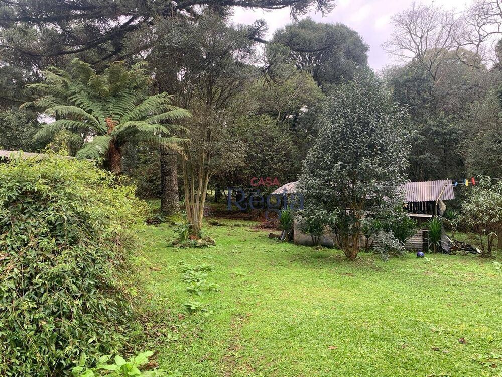 Terreno, 3695 m² - Foto 4