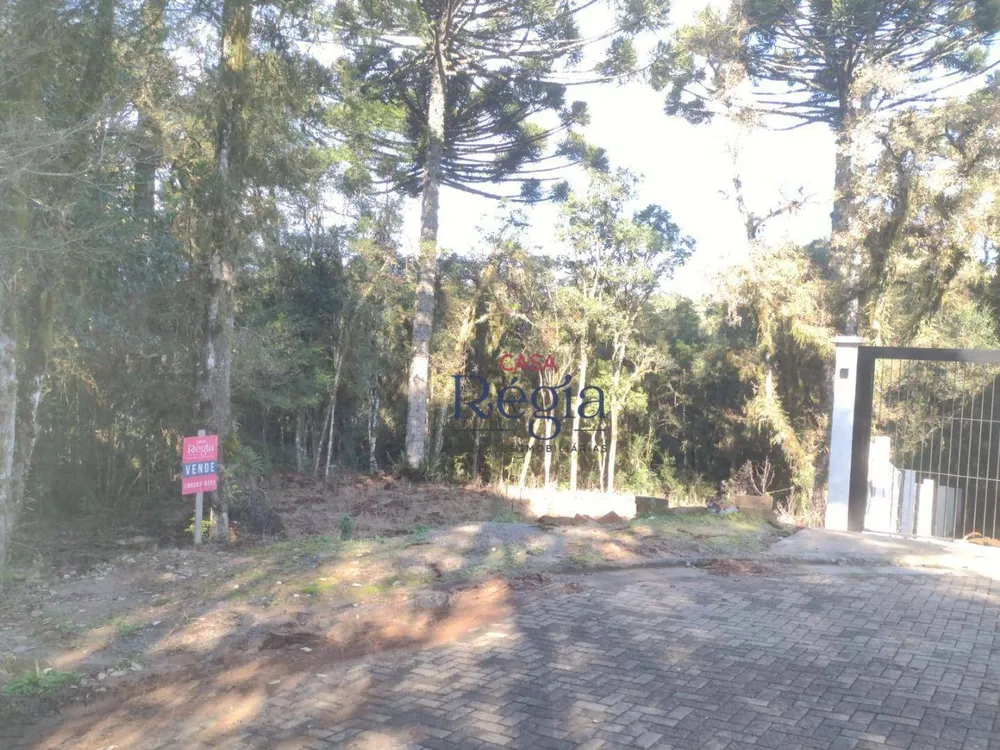 Loteamento e Condomínio, 550 m² - Foto 2