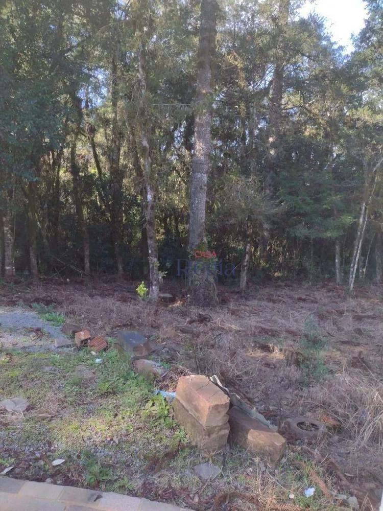 Loteamento e Condomínio, 550 m² - Foto 4