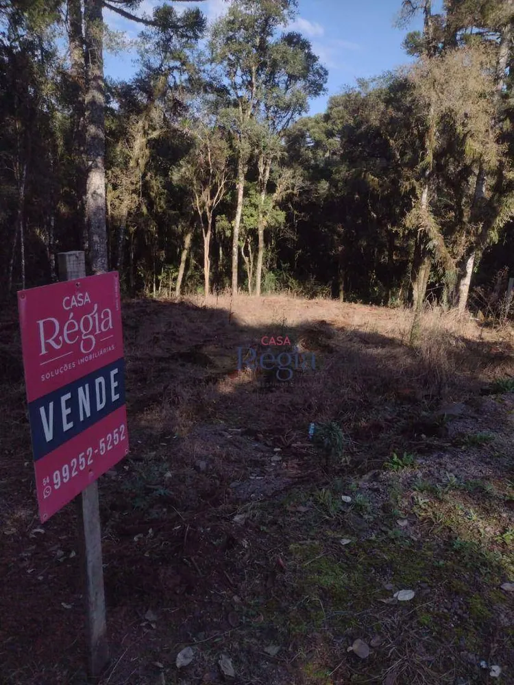 Loteamento e Condomínio, 550 m² - Foto 5