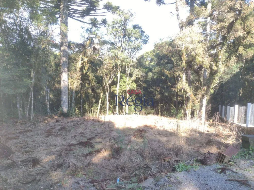Loteamento e Condomínio, 550 m² - Foto 6